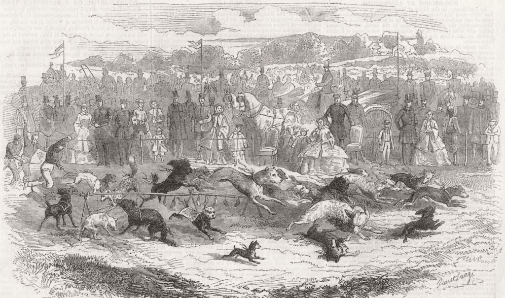 CANADA. A dog race at Louisbourg 1858 old antique vintage print picture
